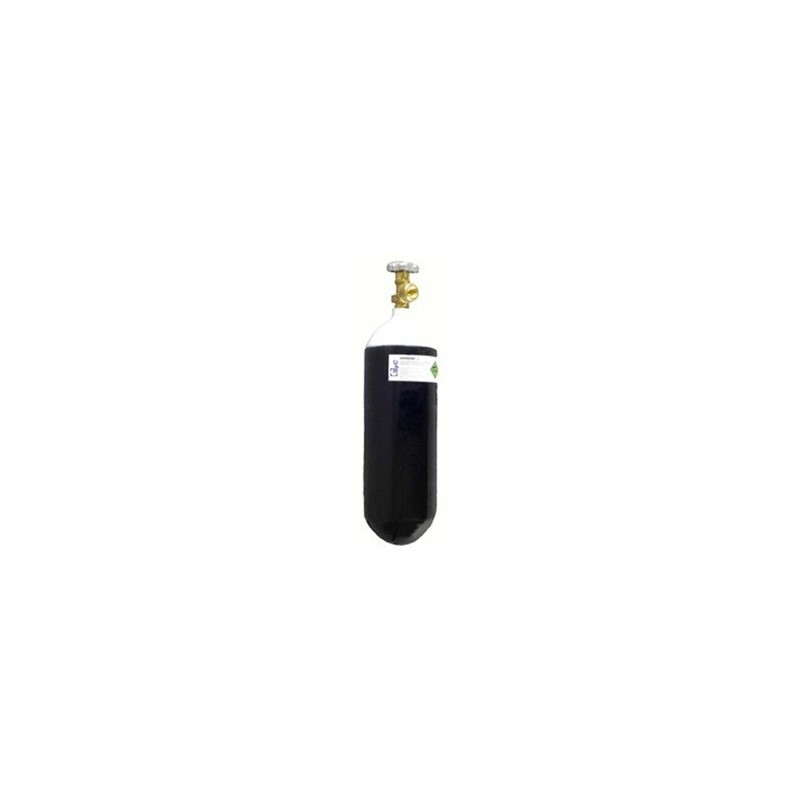 CARGA OXIGENO ENVASE 02 2L.EQUIPO MINI 10108