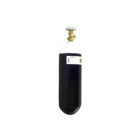 CARGA OXIGENO ENVASE 02 2L.EQUIPO MINI 10108